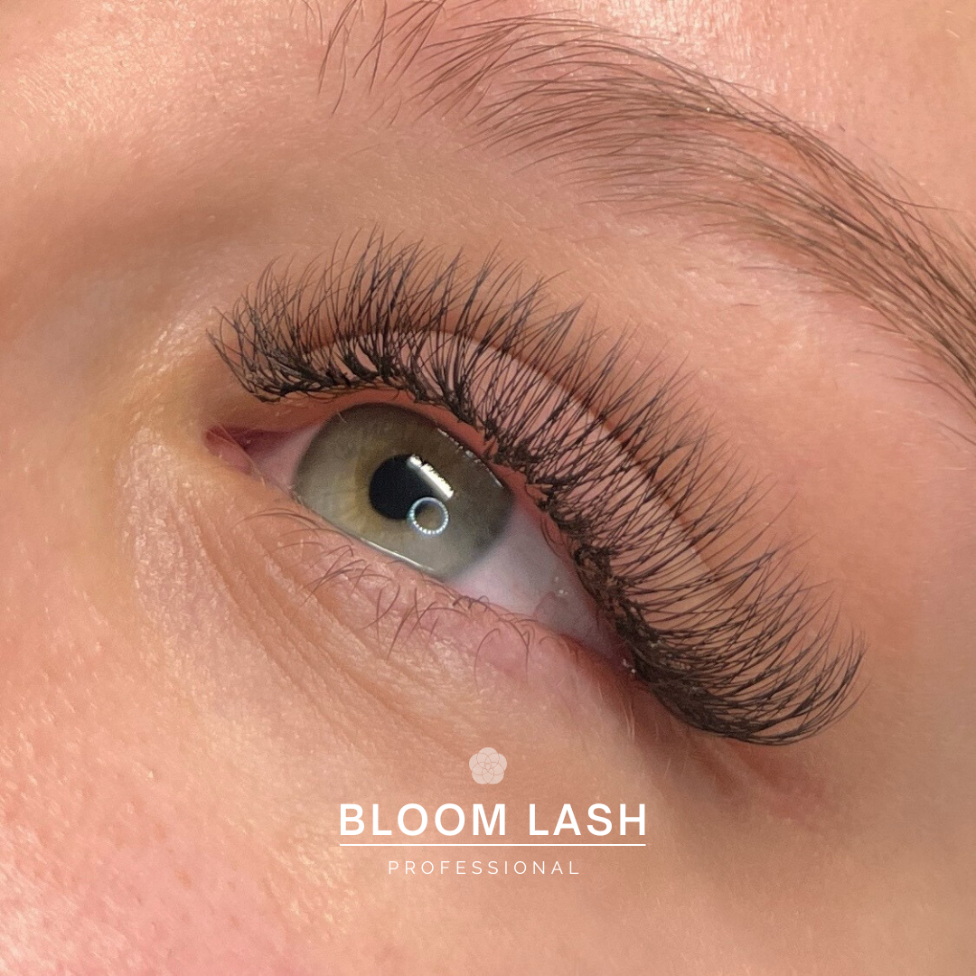 3D Wimpernfächer fertig Wimpernextensions