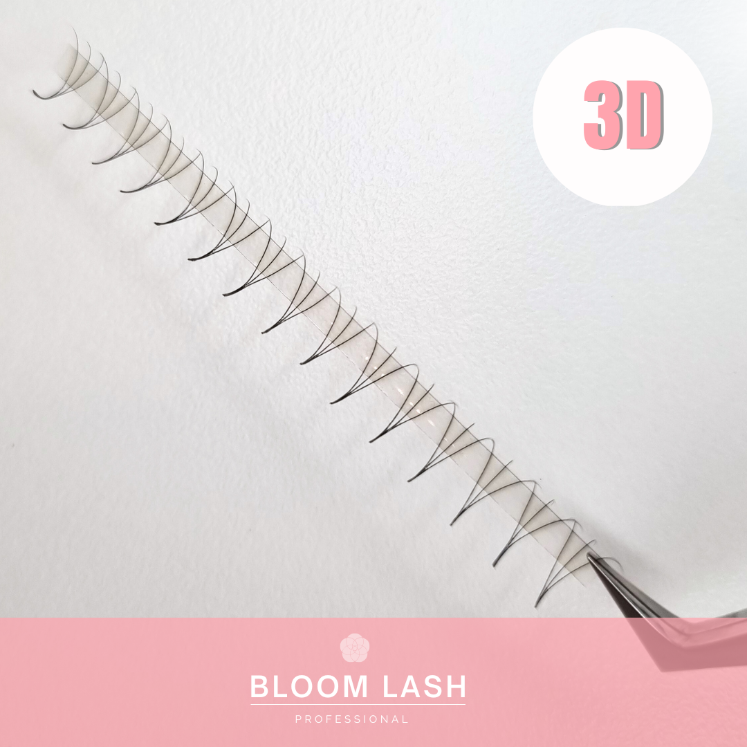 3D Wimpernfächer | Speedy Fans | Mixbox | 1200 Fächer