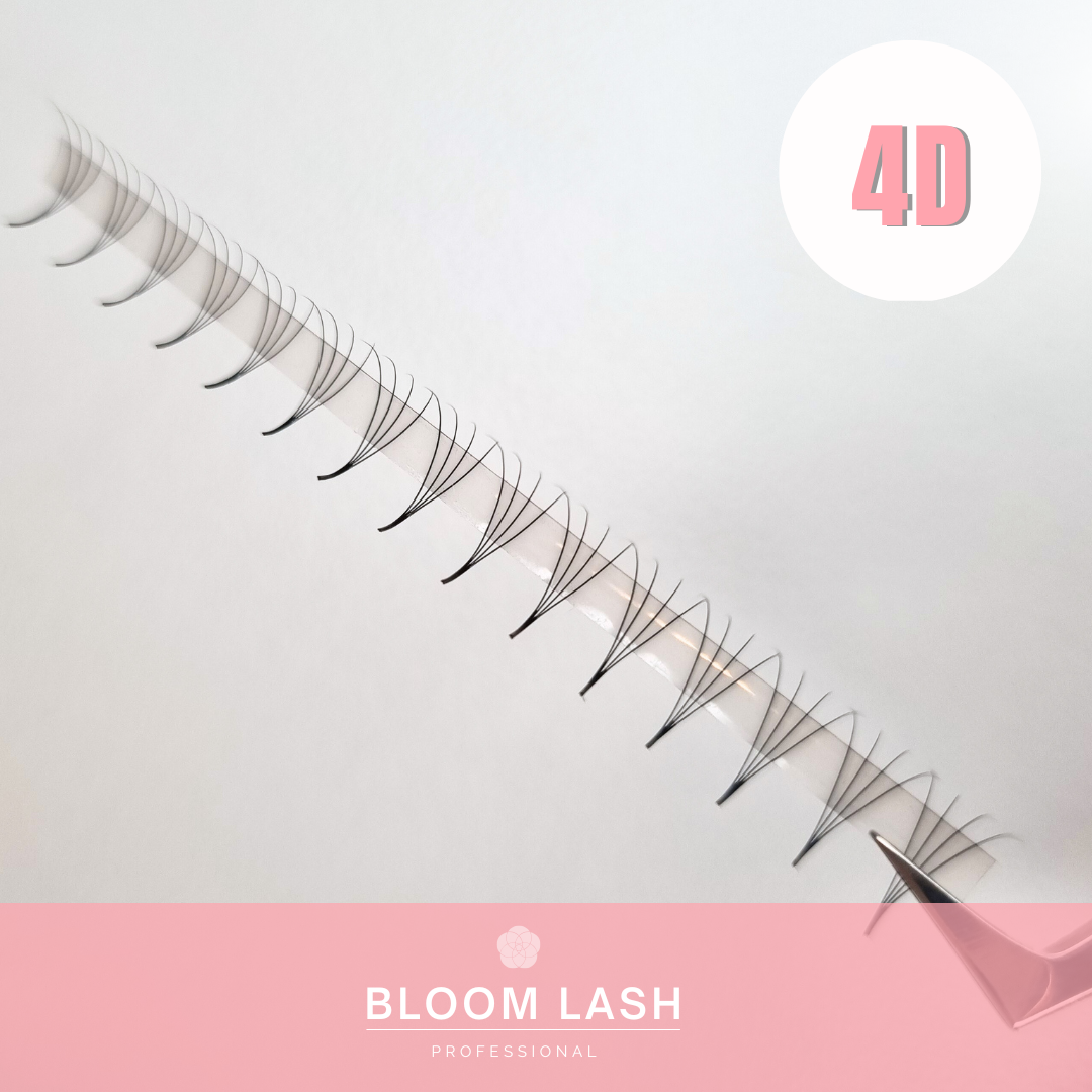 4D Wimpernfächer | Speedy Fans | Mixbox | 1200 Fächer