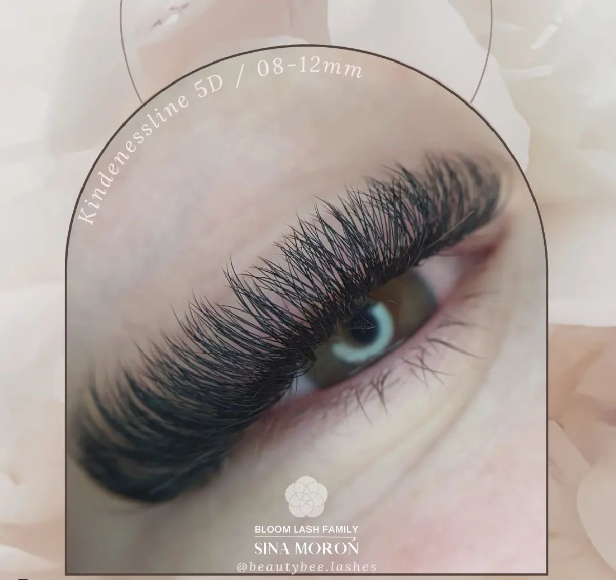 5D Fertige Wimpernfächer 500 Lose