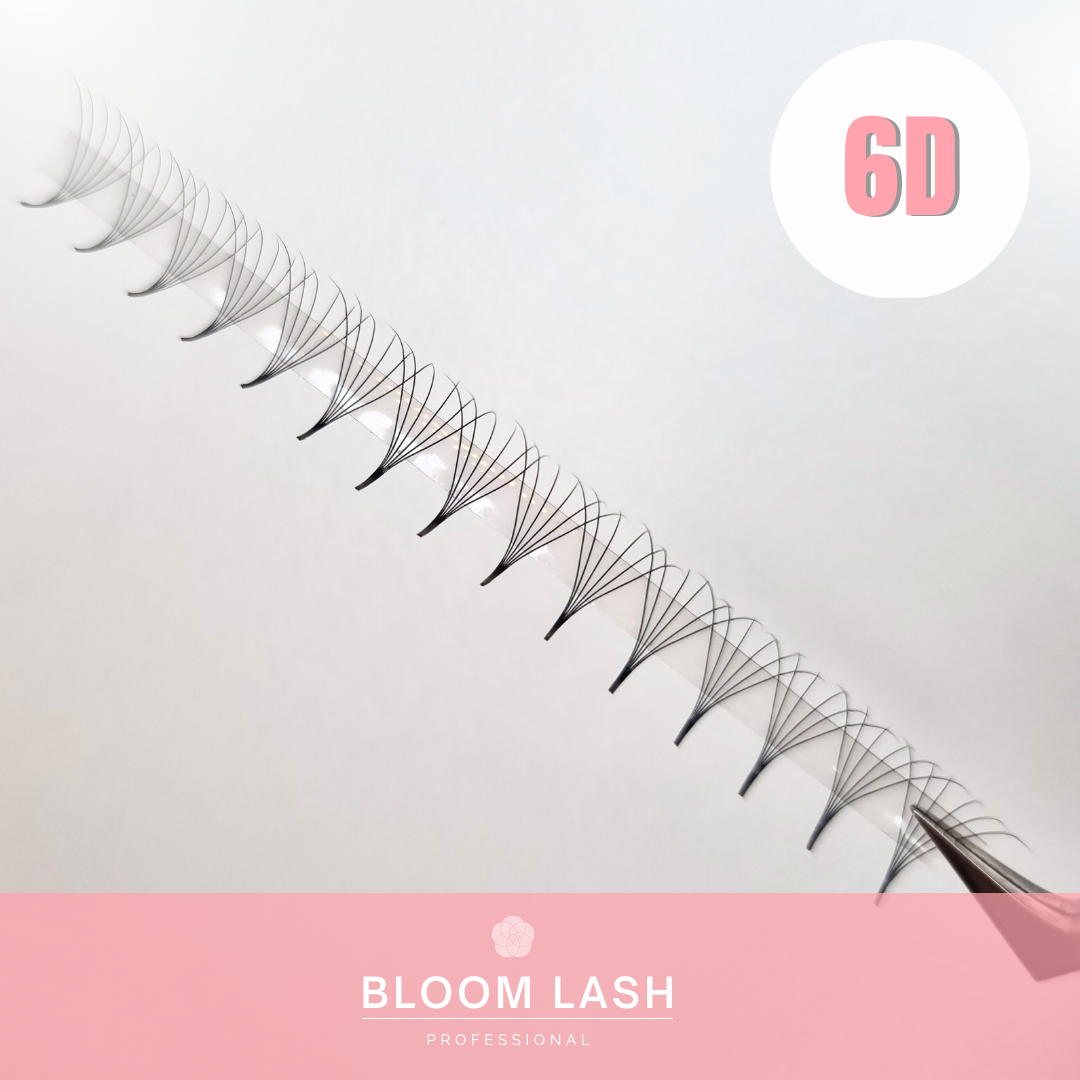 6D Wimpernfächer | Speedy Fans | Mixbox | 1200 Fächer