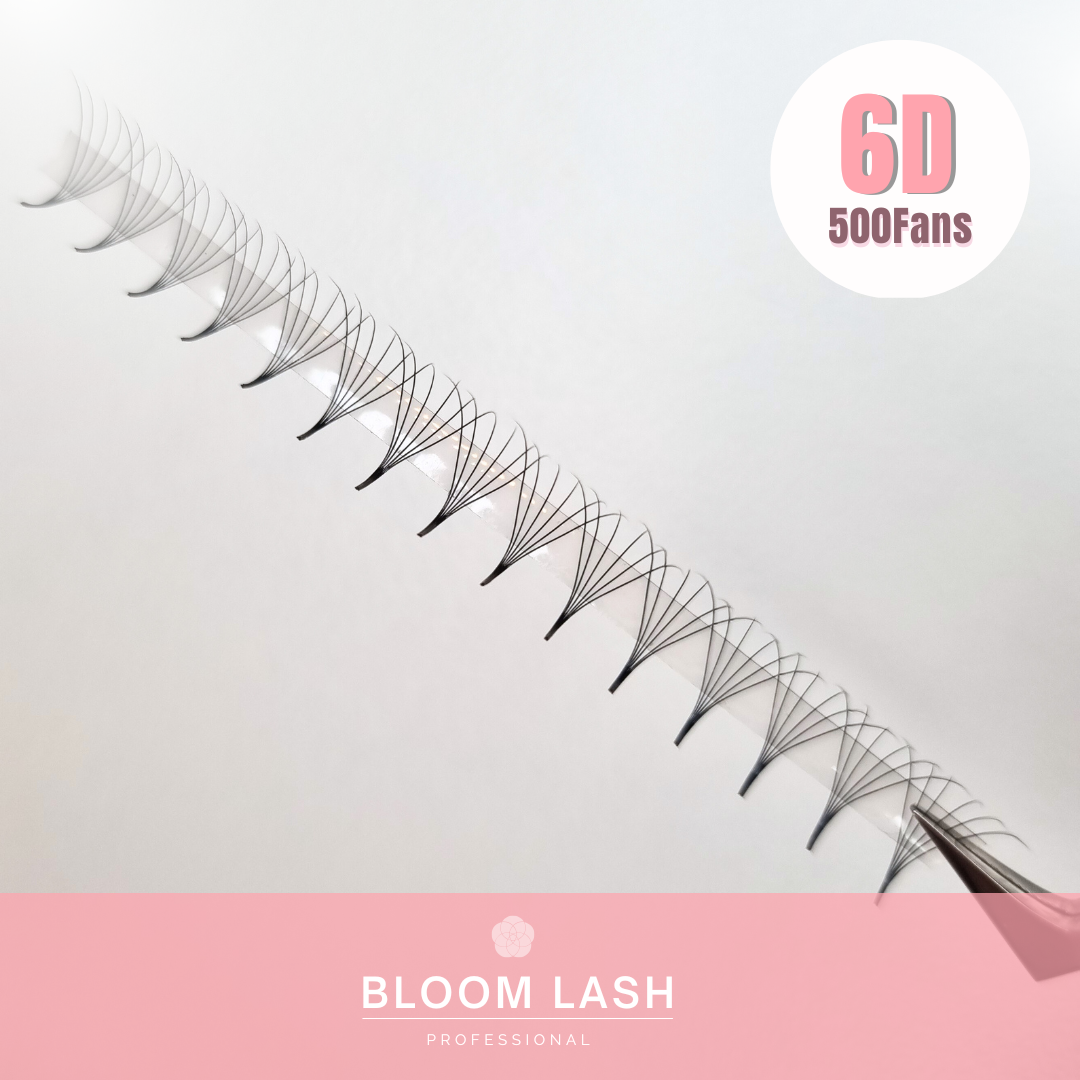 6D Wimpern Speedy Fans Box Fertige Wimpernfächer