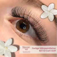 6D Fertige Wimpernfächer 1000 Lose
