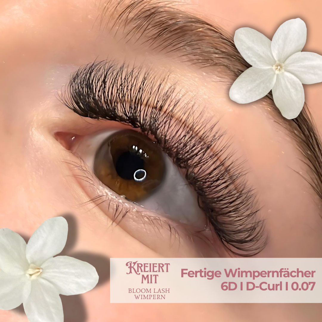 6D Fertige Wimpernfächer 500 Lose