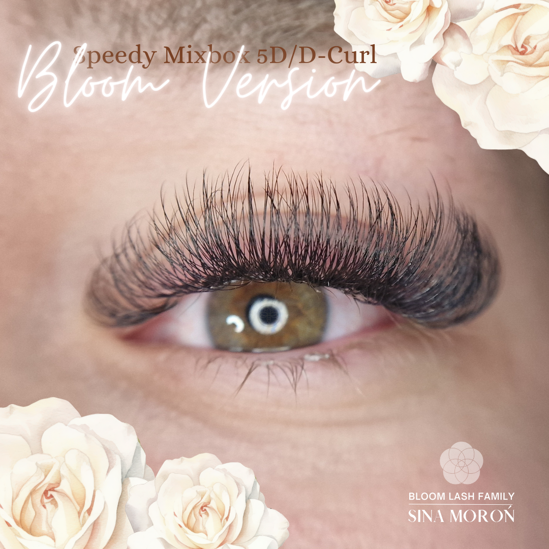 Camellia Lashes | 5D Lashes | Speedy Fans | Mixbox | 1200 Fächer