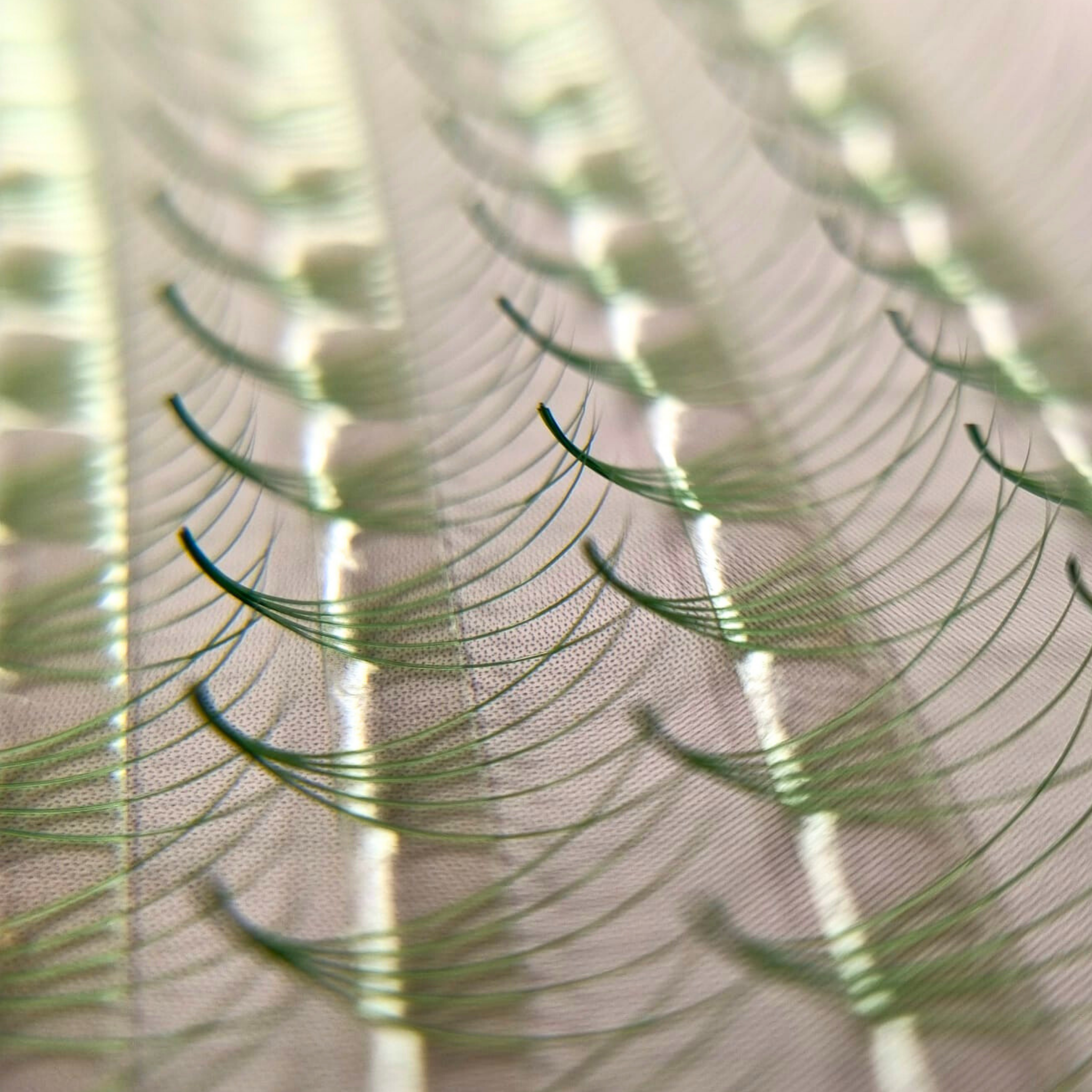 GrueneWimper-GrueneLashes-GreenLash