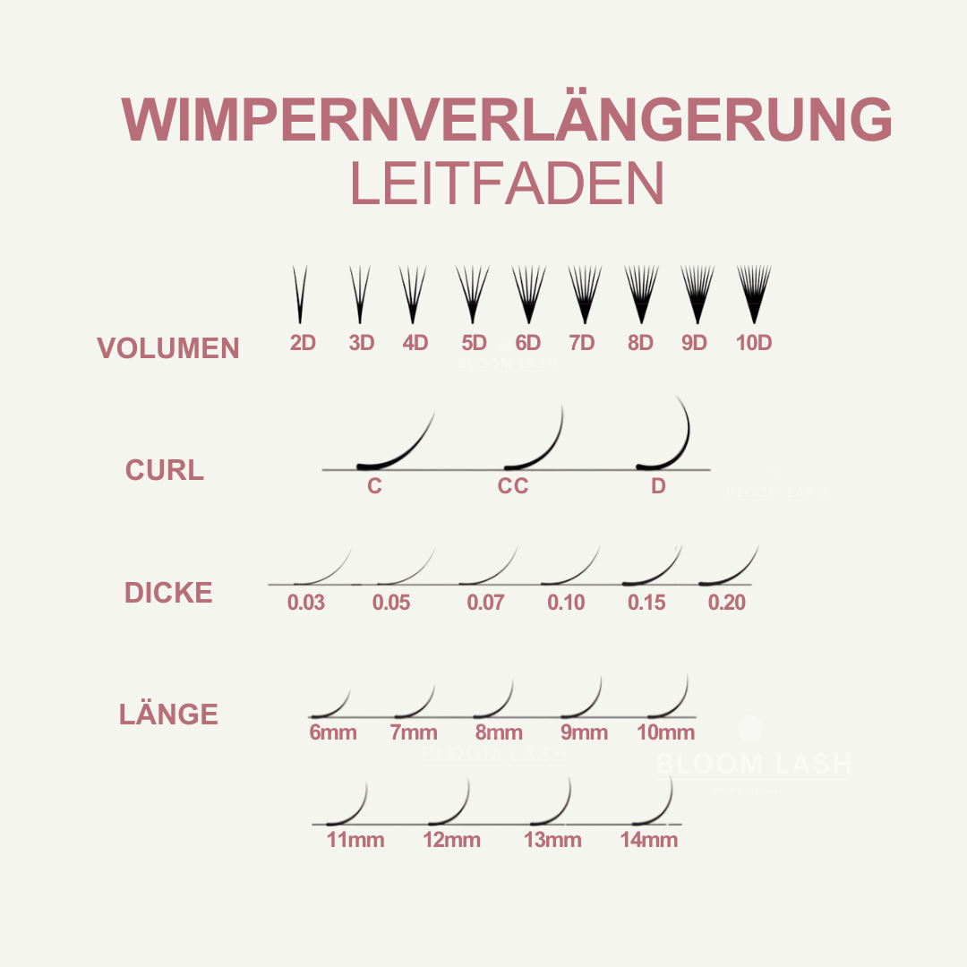 L-Curl | Speedy Fans | Mixbox | 1200 Fächer