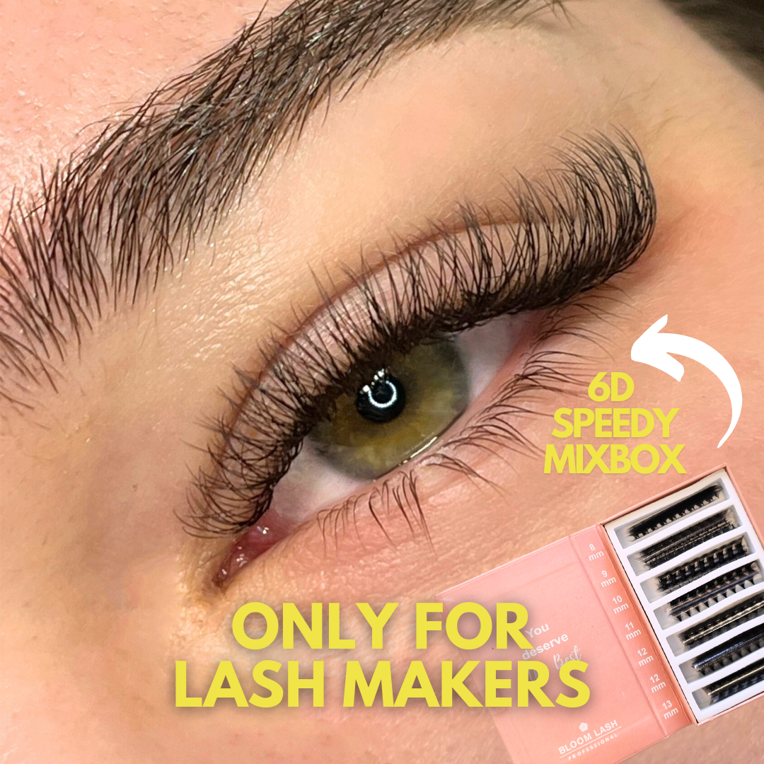 6D Wimpernfächer | Speedy Fans | Mixbox | 1200 Fächer