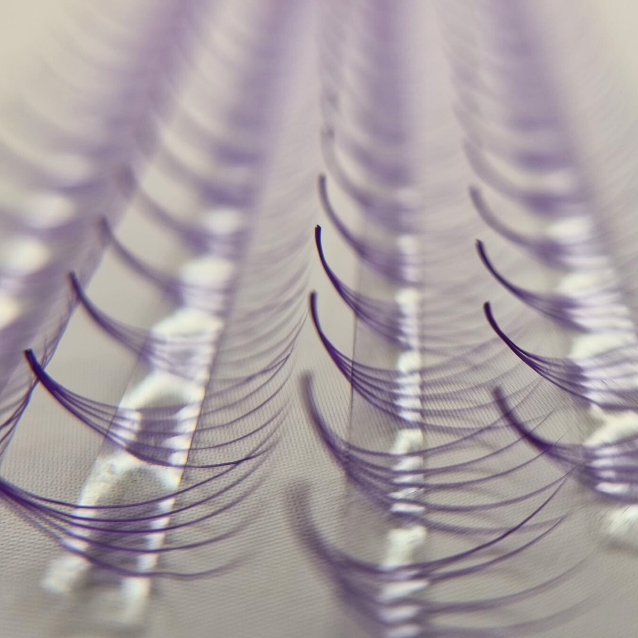 LilaWimpernLilaLashes-PurpleLashes_