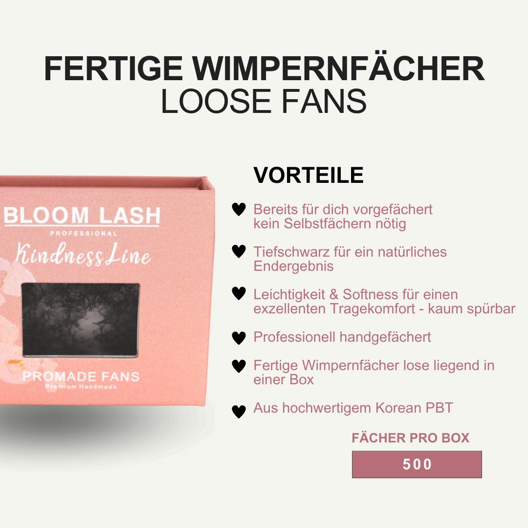 6D Fertige Wimpernfächer 500 Lose