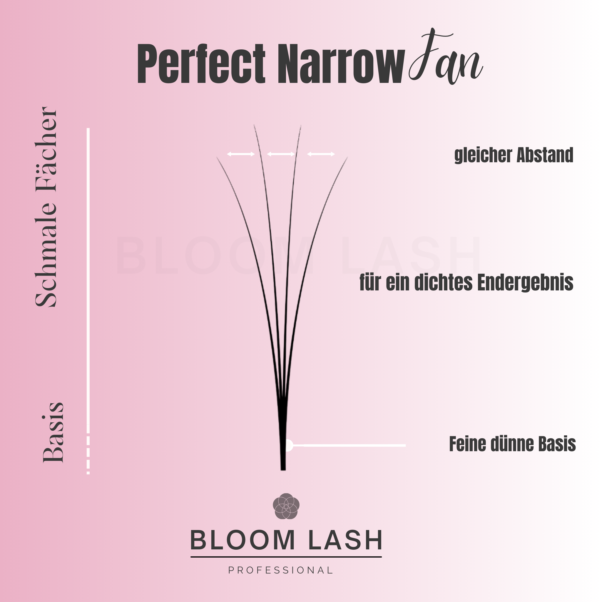 NarrowFans10DWimpernfächerErklärung