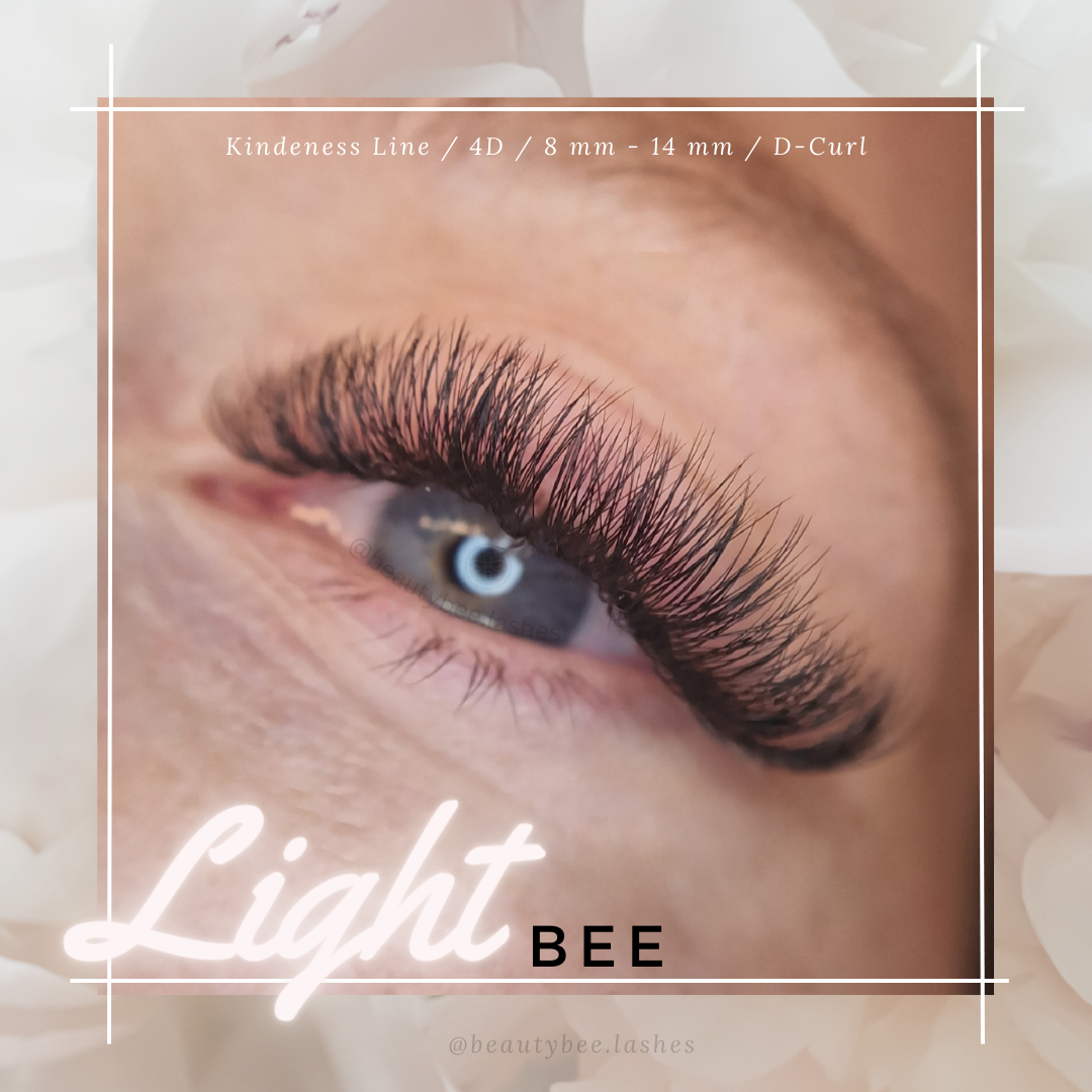 4D Fertige Wimpernfächer 500 Lose