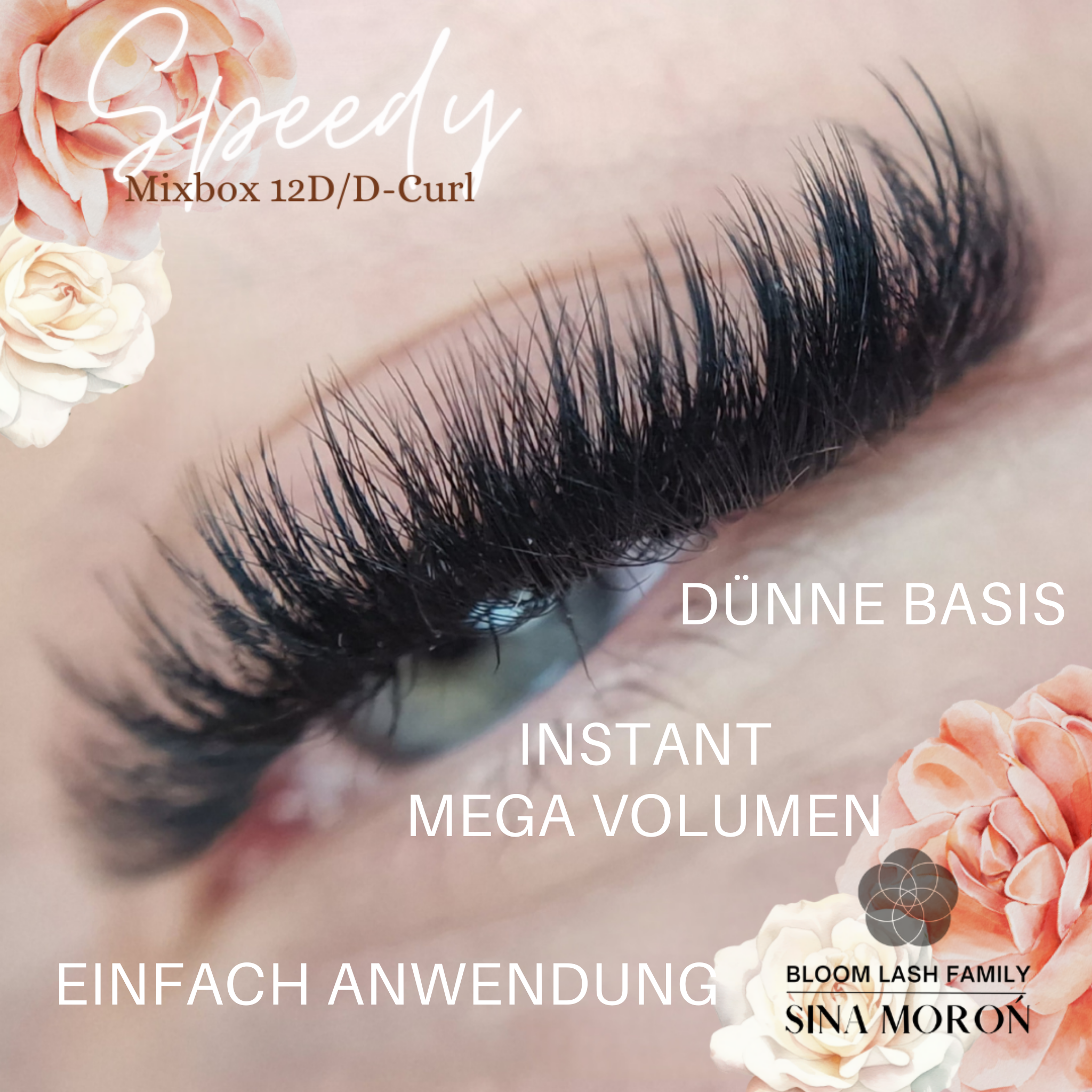 12D Wimpernverlängerung Fertige Wimpernfächer Kundenergebnis