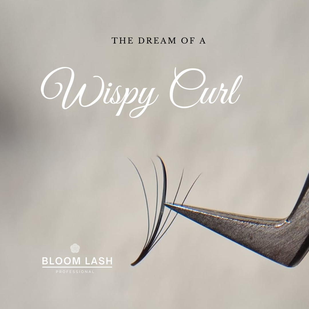 WispyLashesWimpernfaecher