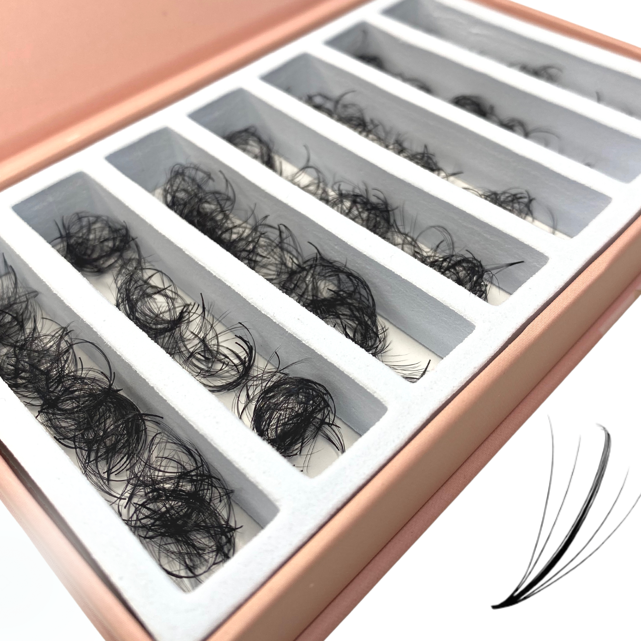Wispy Lashes fertige Wimpernfächer Mixbox Lose in der Box Wimpernverlängerung