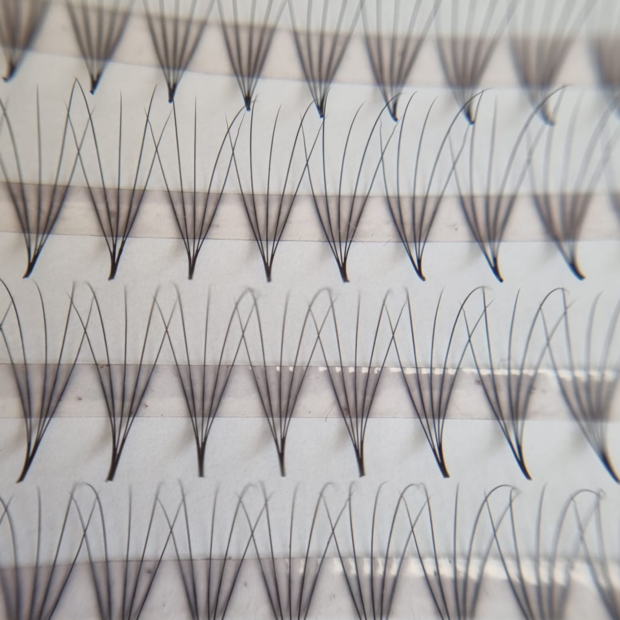 Camellia Lashes | 5D Lashes | Speedy Fans | Mixbox | 1200 Fächer