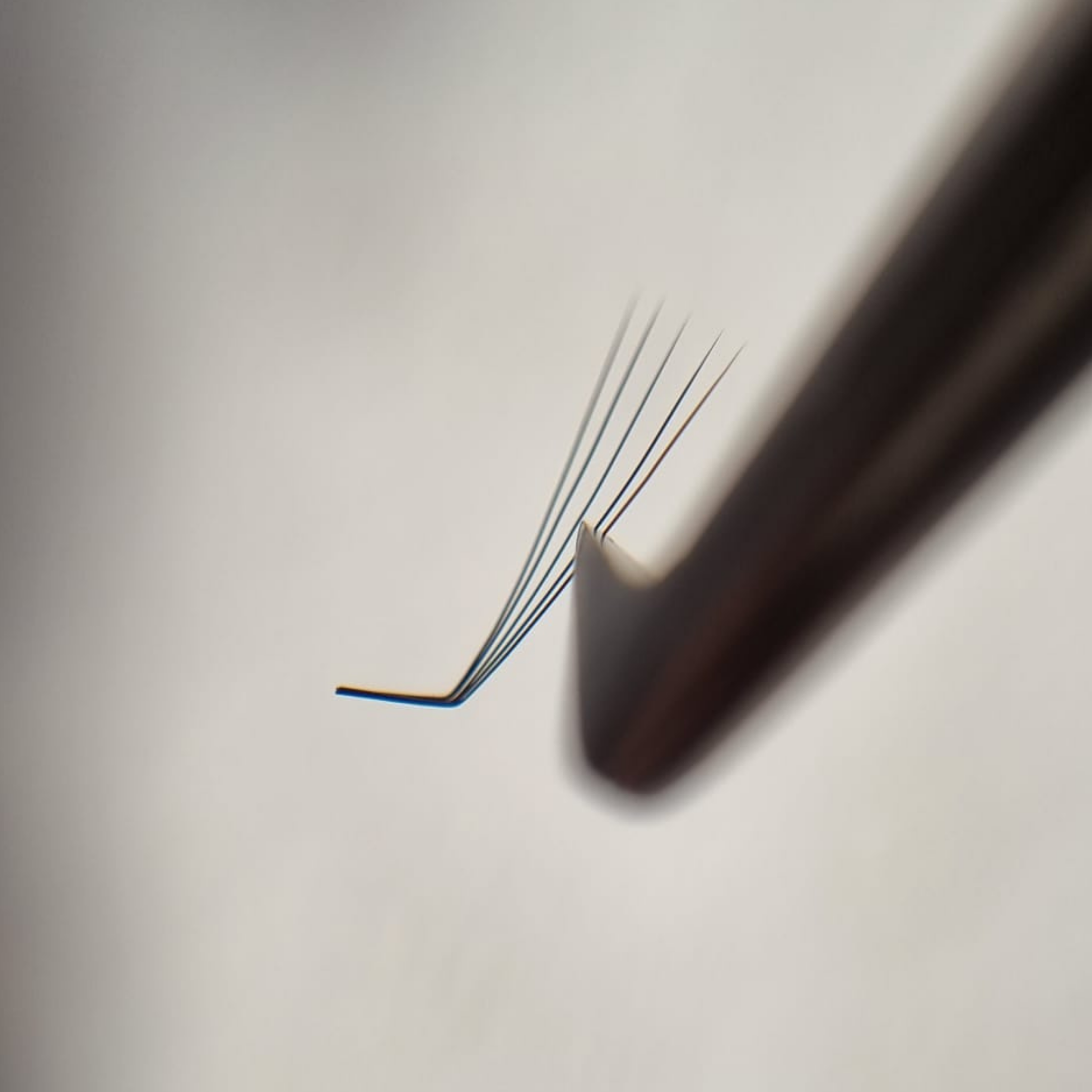 l-curl-lashes-5d-wimpernfaecher-eyelash-extensions