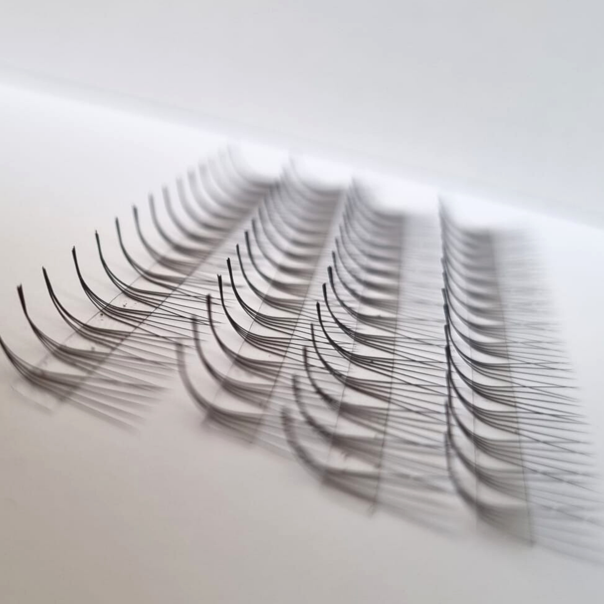 m-curl-lashes-wimpernfaecher-wimpernverlaengerung