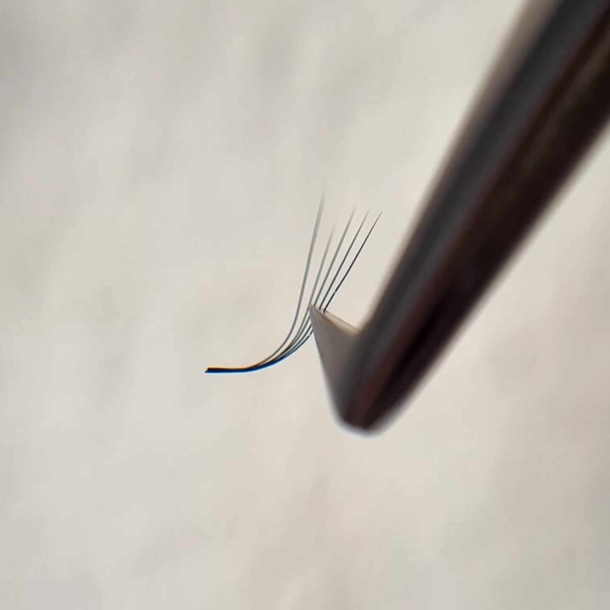 m-curl-lashes-wimpernfaecher