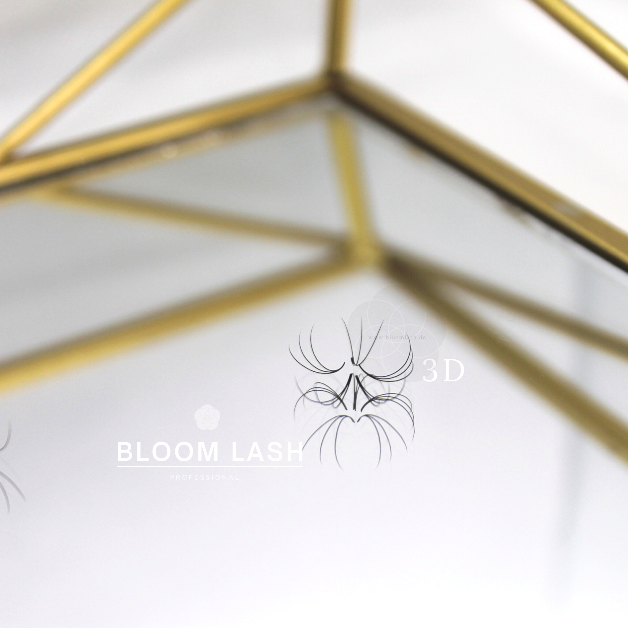3D wimpernfaecher eyelash extensions für wimpernstylistin und kosmetikerin