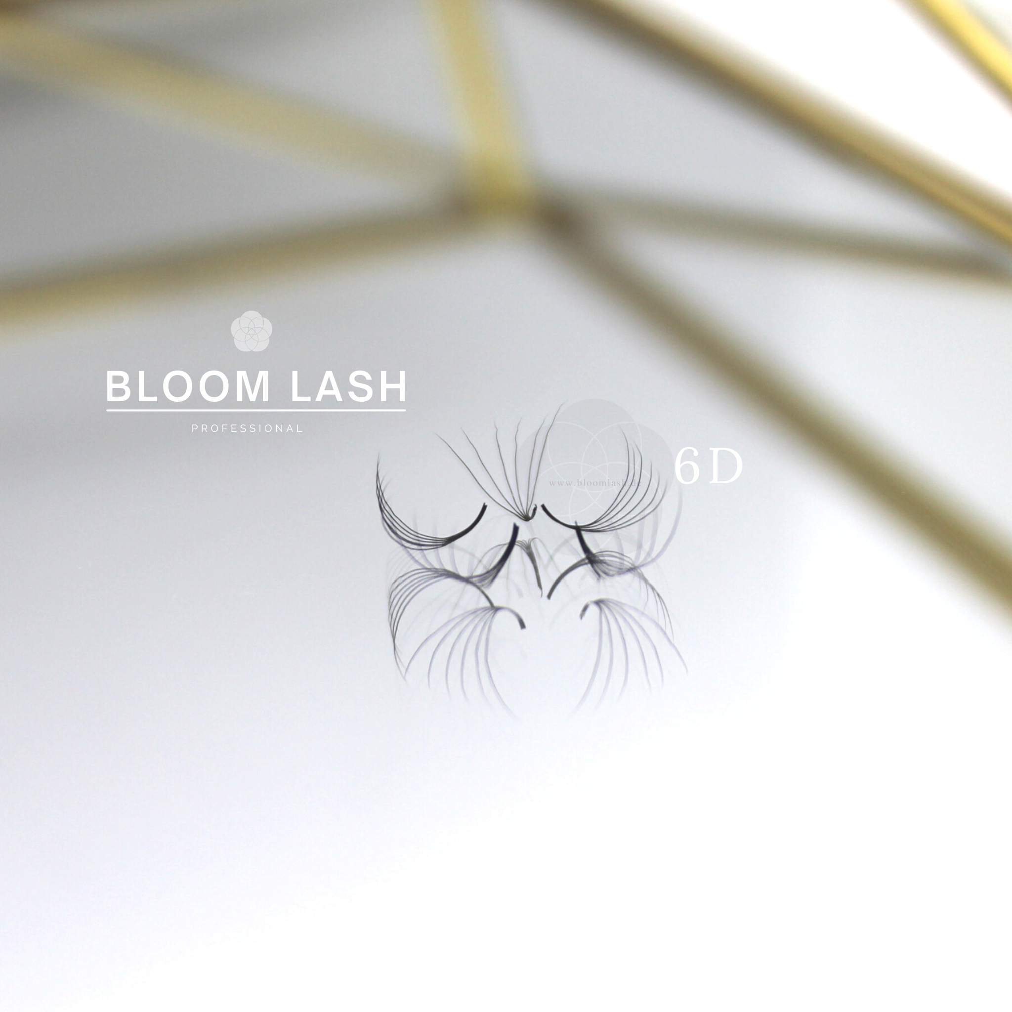 6D wimpernfaecher eyelash extensions für wimpernstylistin und kosmetikerin