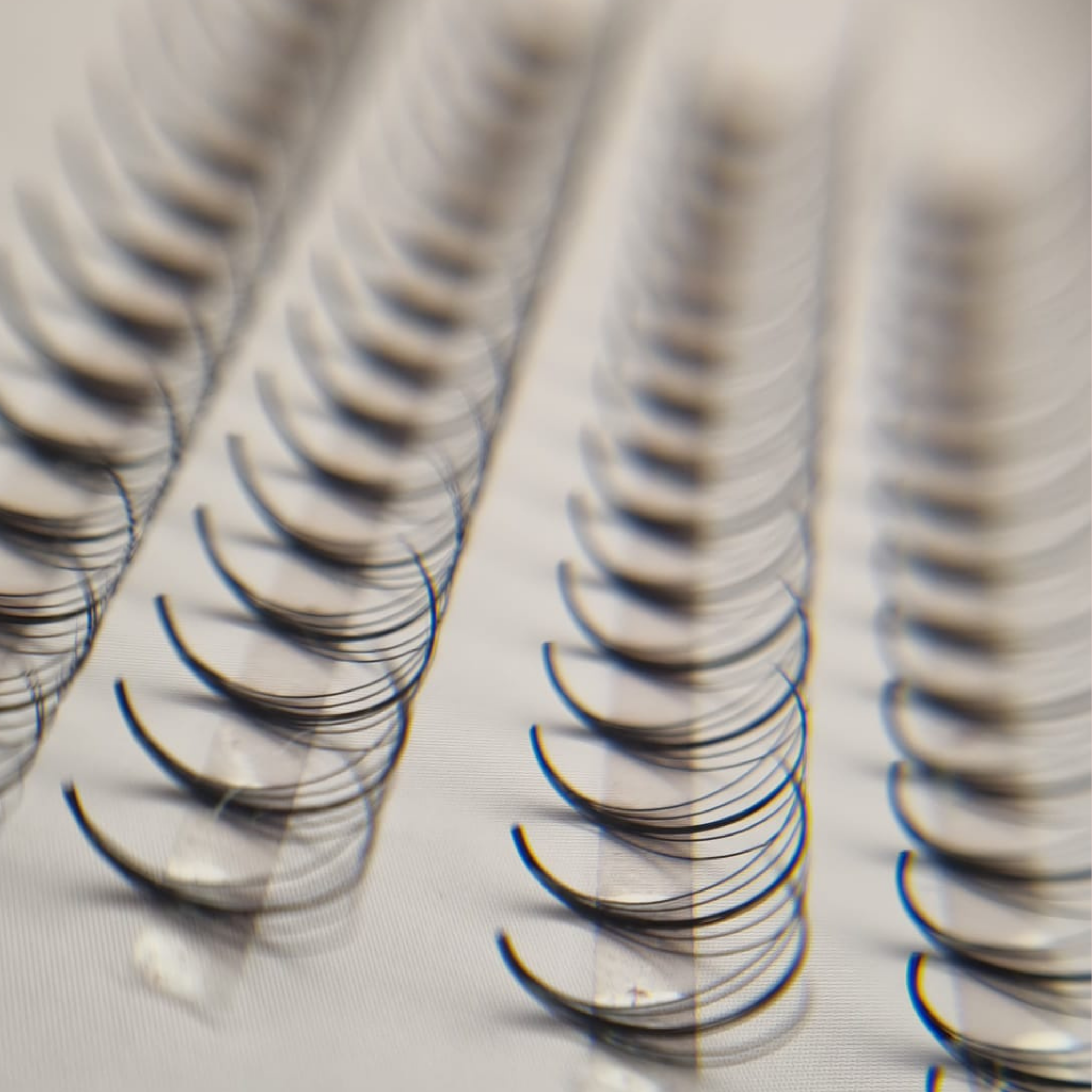 wispy-lashes-wimpern-wimpernfaecher