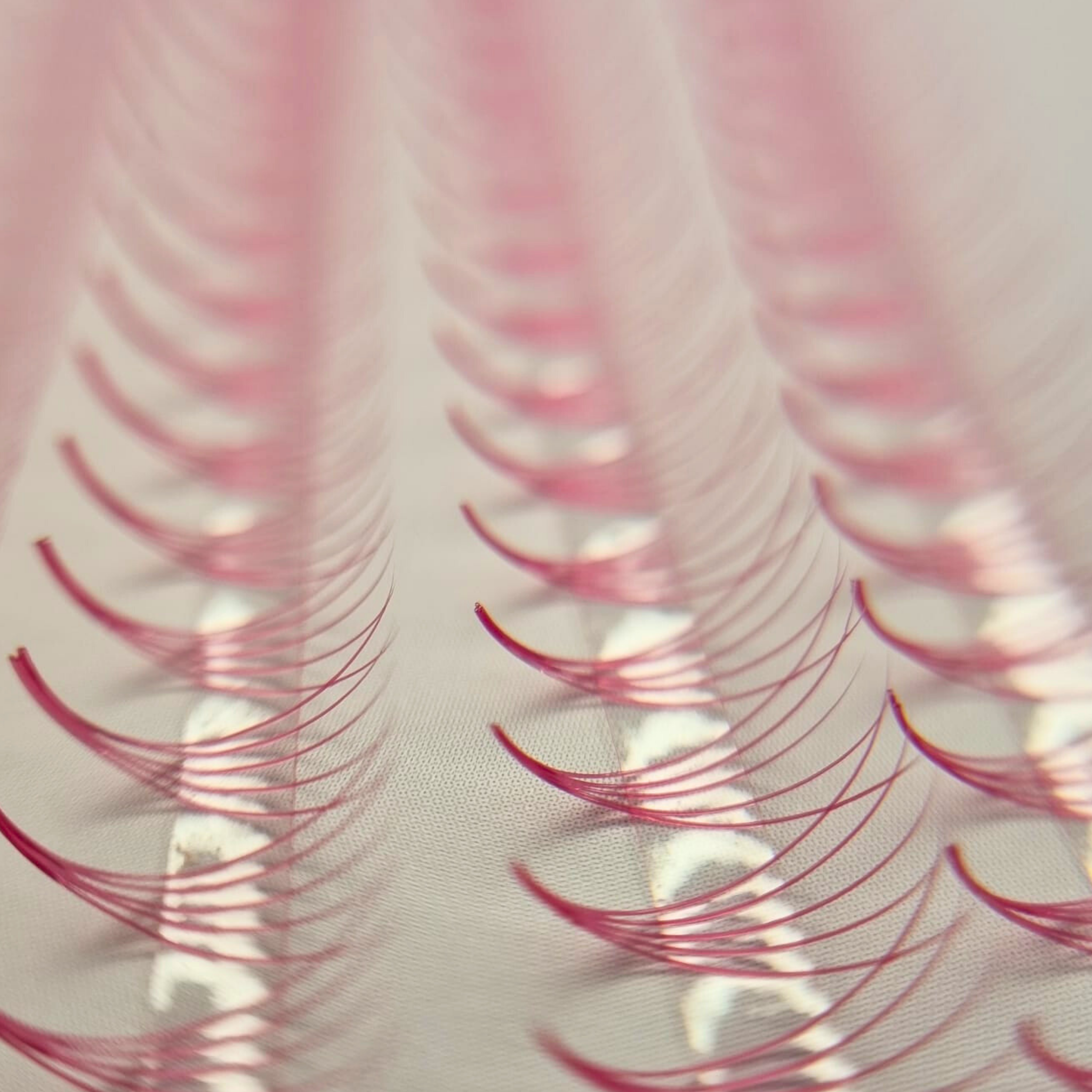 PinkLashes-PinkWImpern-RosaWimperm