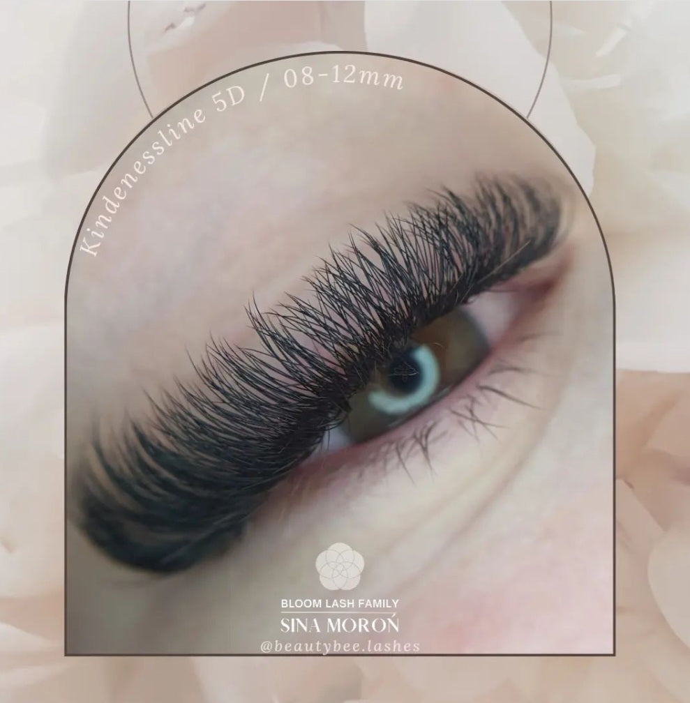 5D Wimpernverlängerung