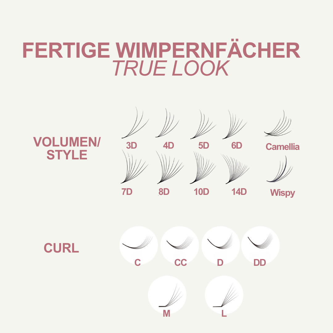 Wispy | 5D Lashes | Wimpernfächer | Speedy Fans | Mixbox | 1200 Fächer