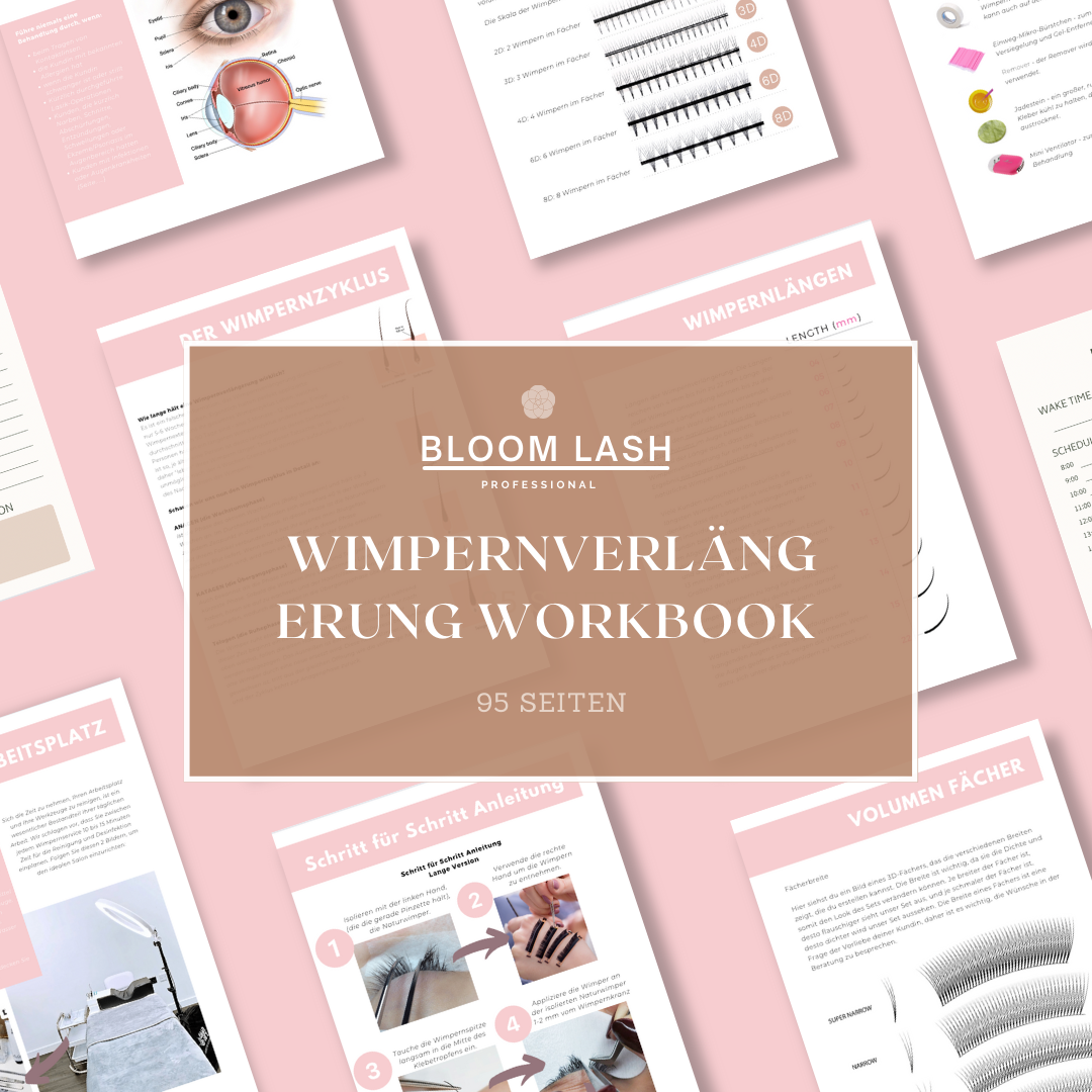 Wimpernverlängerung Schulung - Online E-Workbook