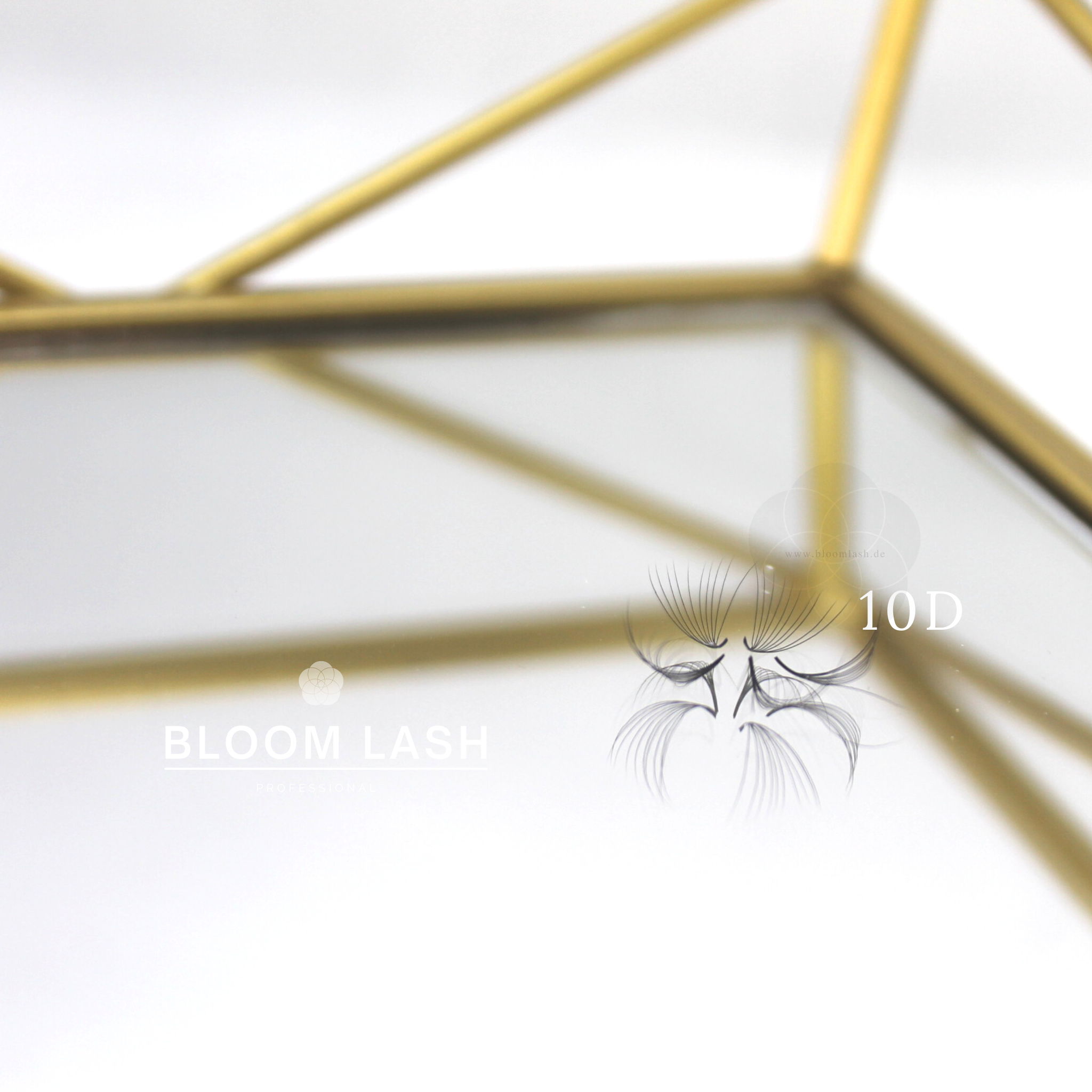 10D wimpernfaecher eyelash extensions für wimpernstylistin und kosmetikerin