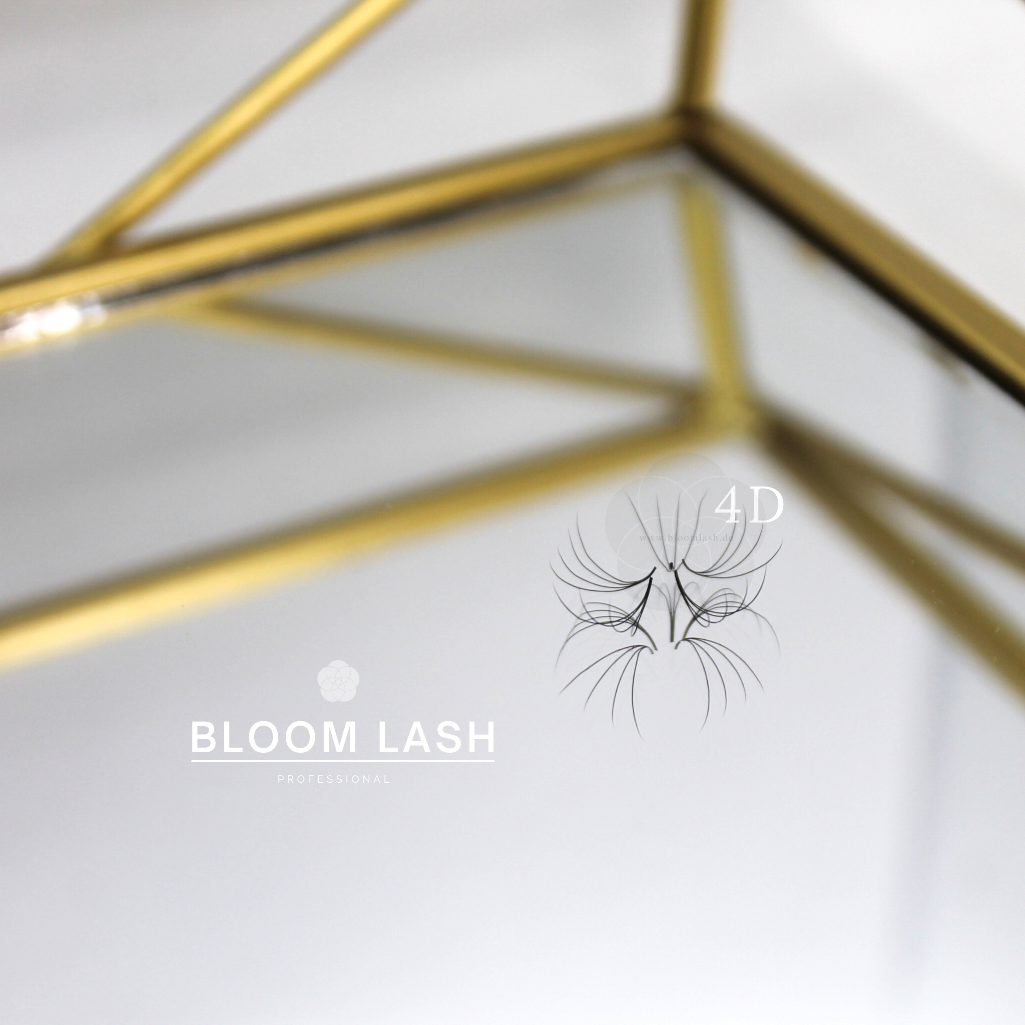 4D wimpernfaecher eyelash extensions für wimpernstylistin und kosmetikerin