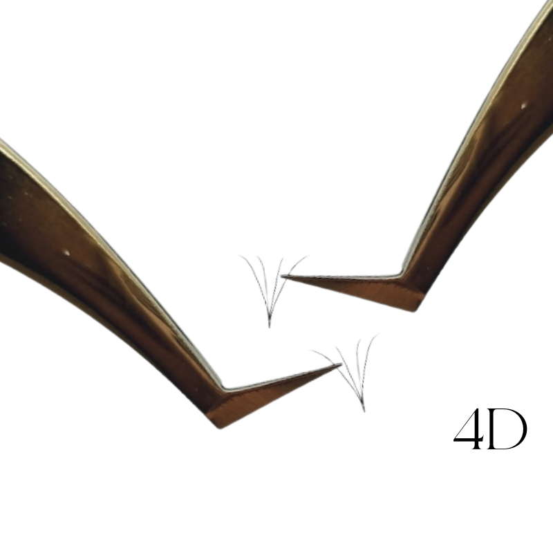 4D wimpern volumen für wimpernstylistin und kosmetikerin