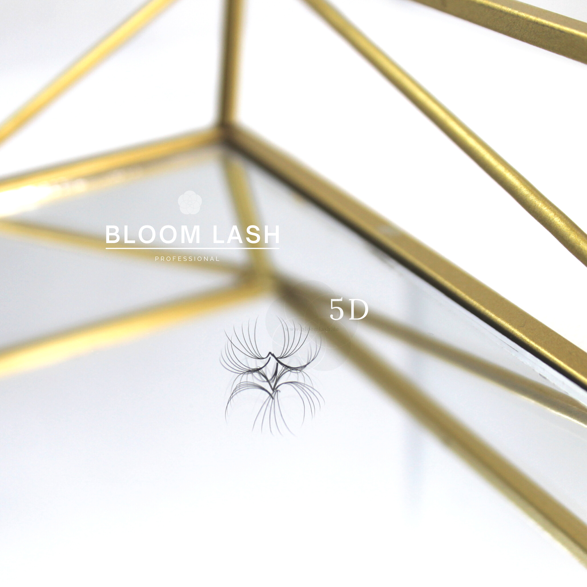 5D wimpernfaecher eyelash extensions für wimpernstylistin und kosmetikerin