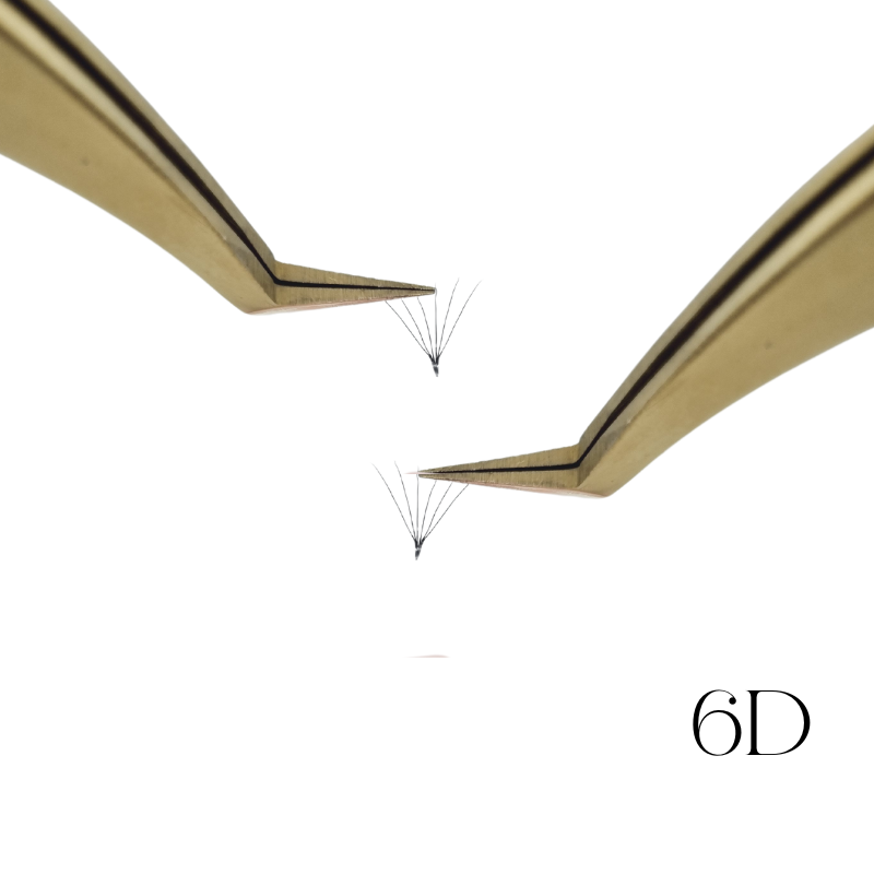 6D wimpern volumen für wimpernstylistin und kosmetikerin