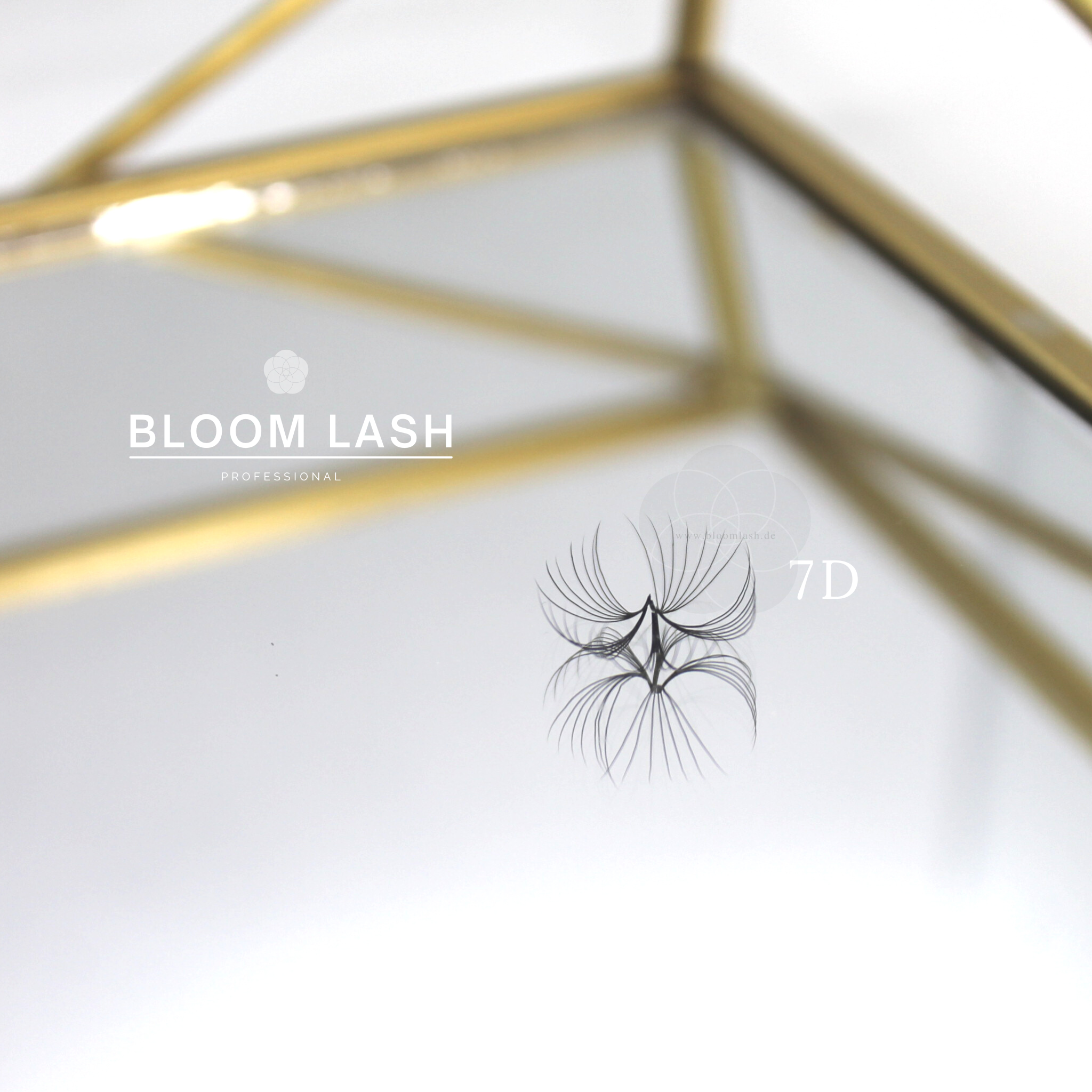 7D wimpernfaecher eyelash extensions für wimpernstylistin und kosmetikerin