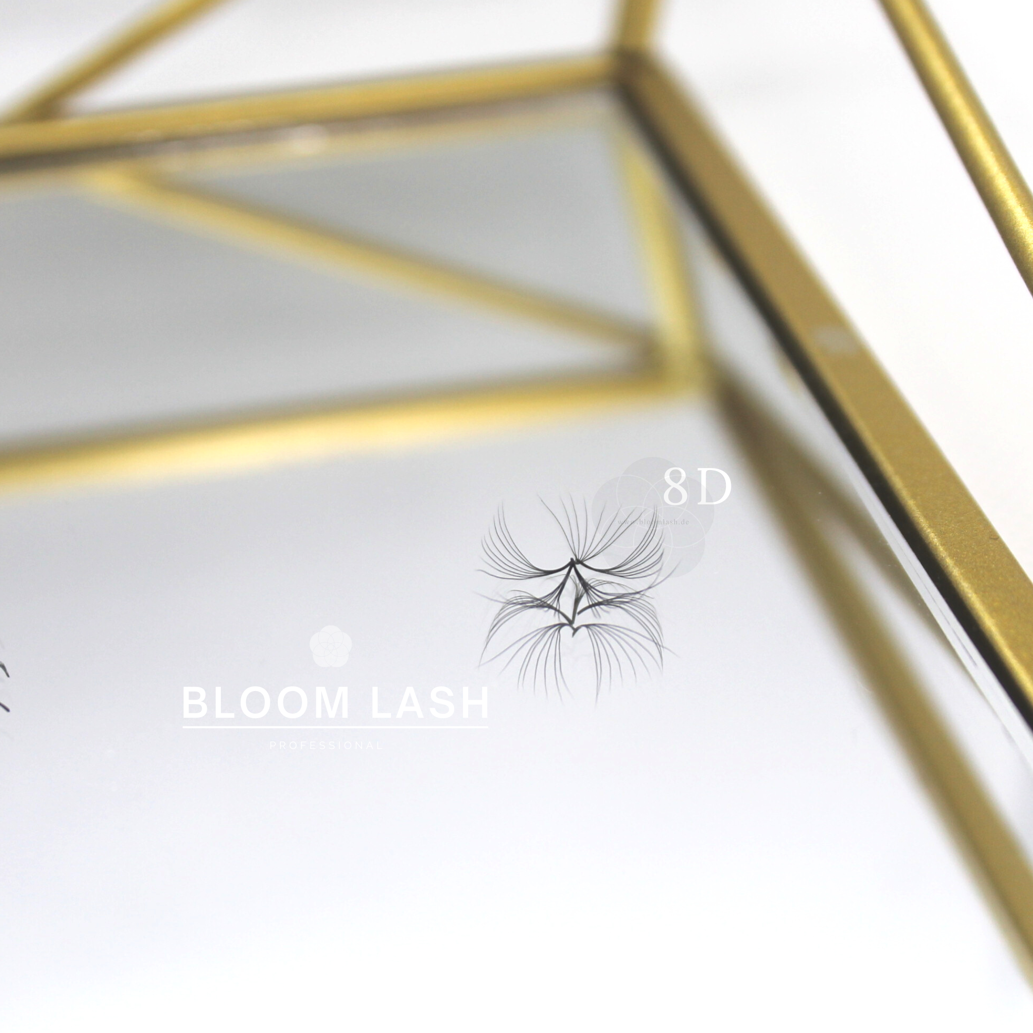 8D wimpernfaecher eyelash extensions für wimpernstylistin und kosmetikerin